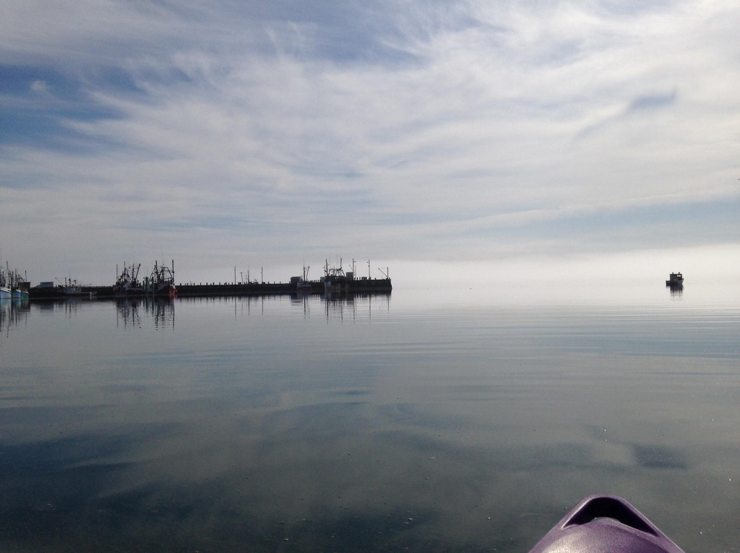 Dockside Kayak Rentals-Digby必去景点