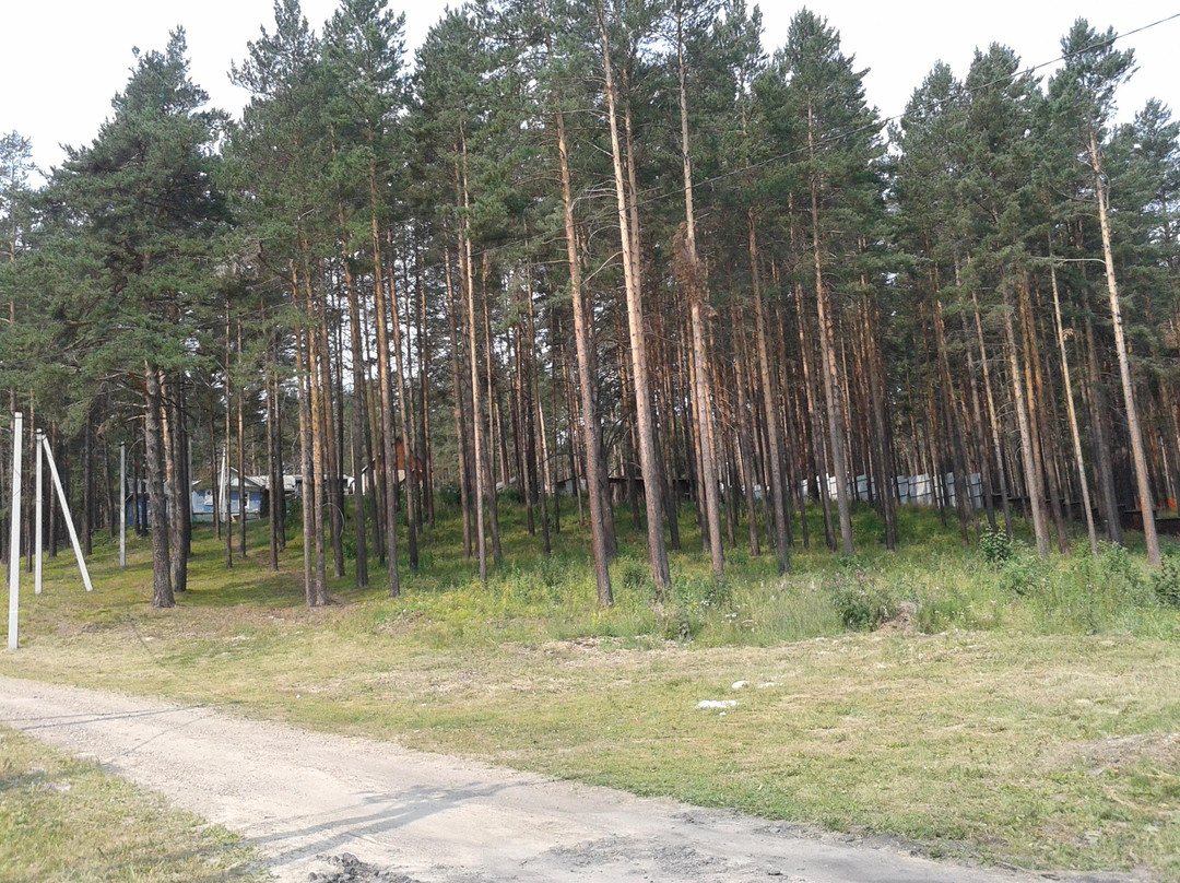 Dinamo Ski Lodge-伊尔库茨克必去景点