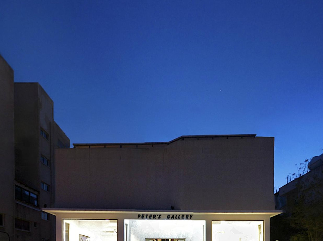 Peter's Gallery-利马索尔必去景点