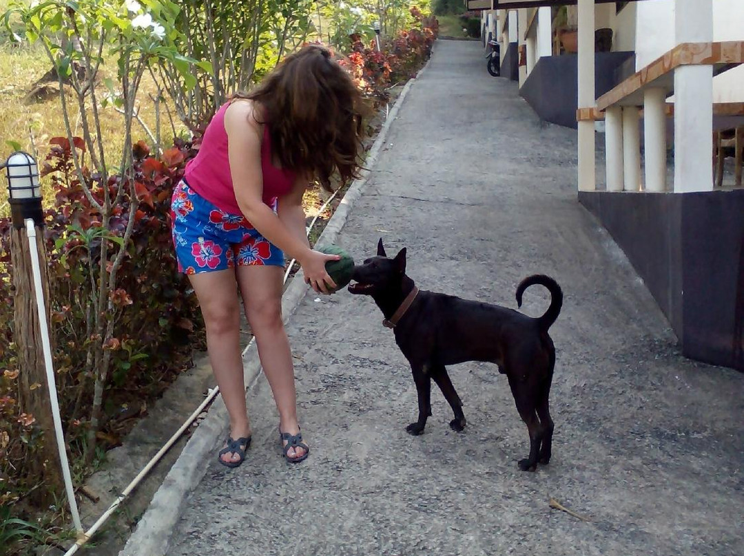 Pengwan Resort & Restaurant主图