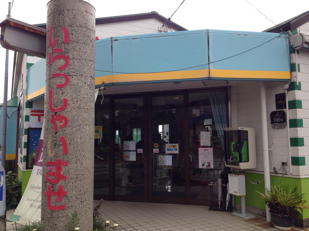 Yakusugi Takeda-屋久岛町必去景点