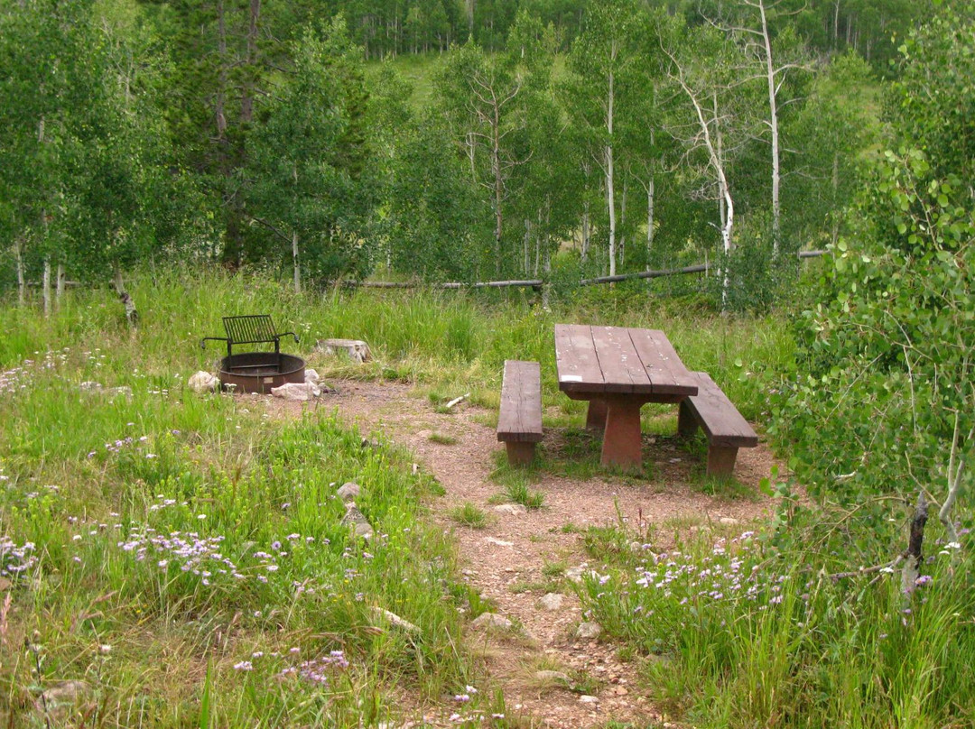 Bear Creek National Recreation Trail景点图片
