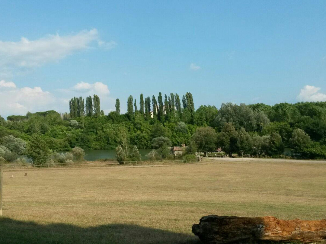 Selva di Paliano景点图片