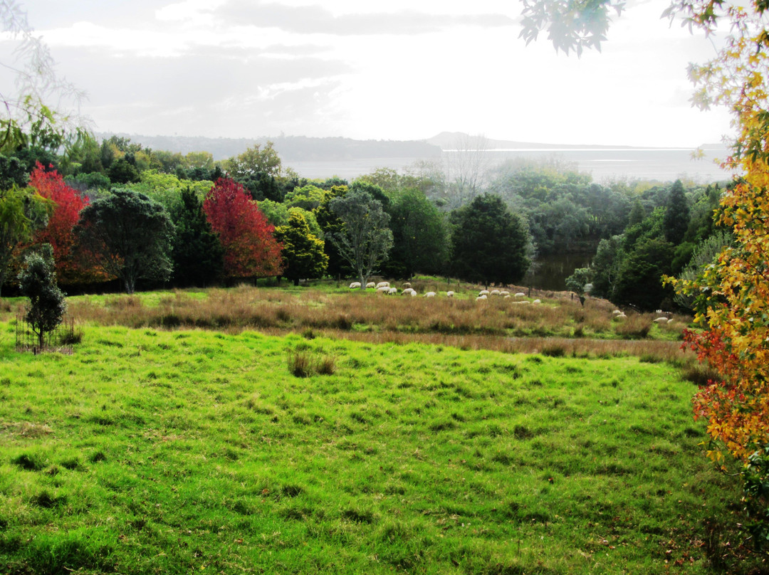 Ayrlies Garden & Wetlands景点图片