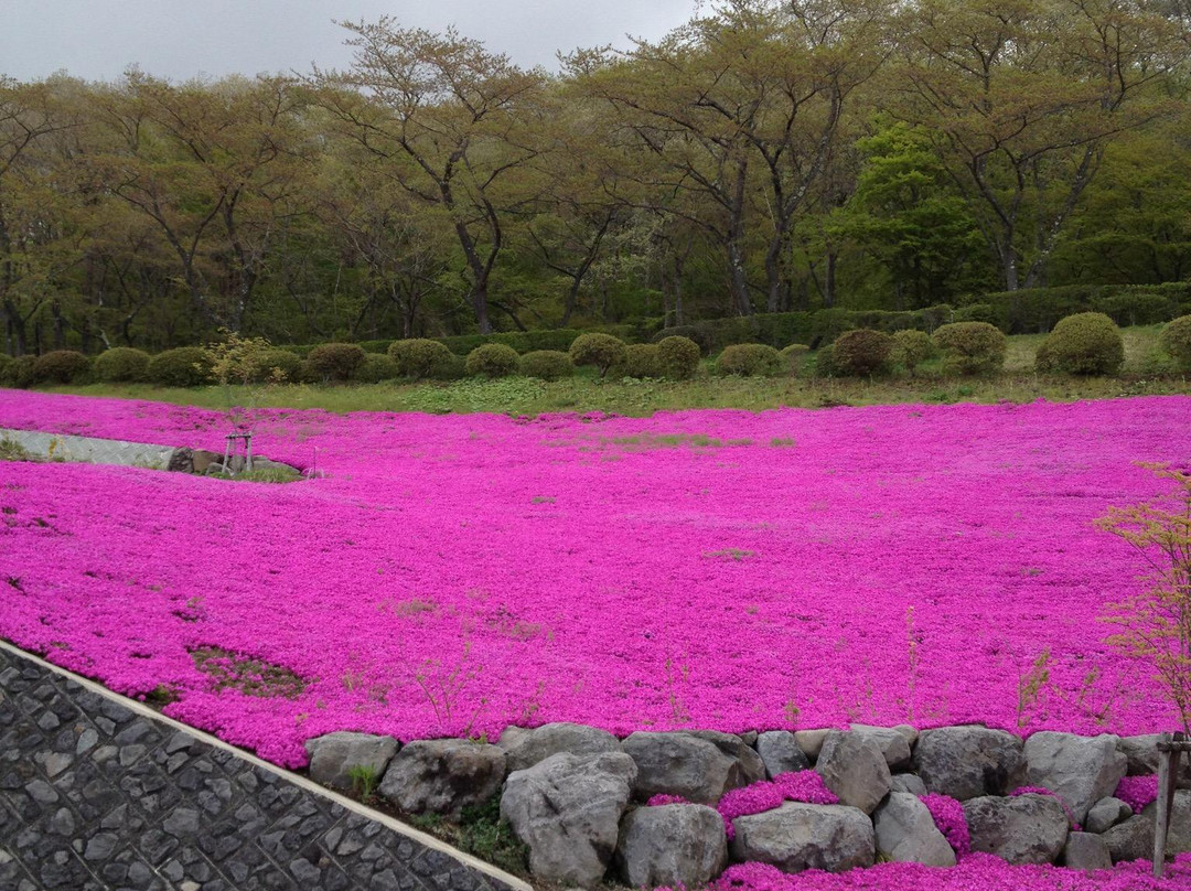 Fuji Reien Cemetry景点图片