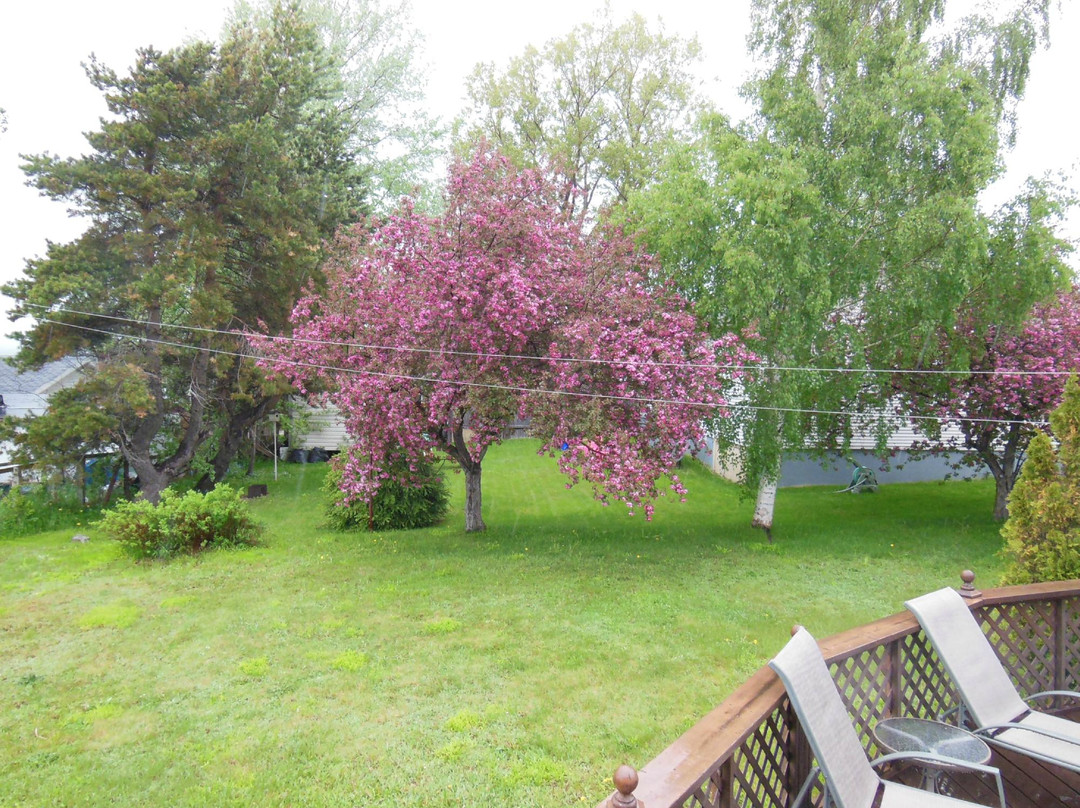 Lakeview Bed and Breakfast主图