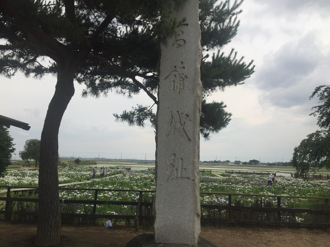 Shobujoshi Ayame Garden-久喜市必去景点