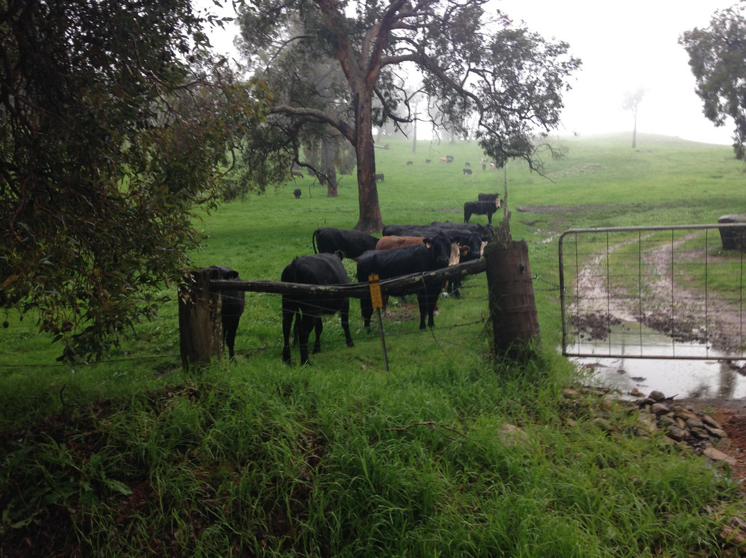 Casey Australia Tours-珀斯必去景点