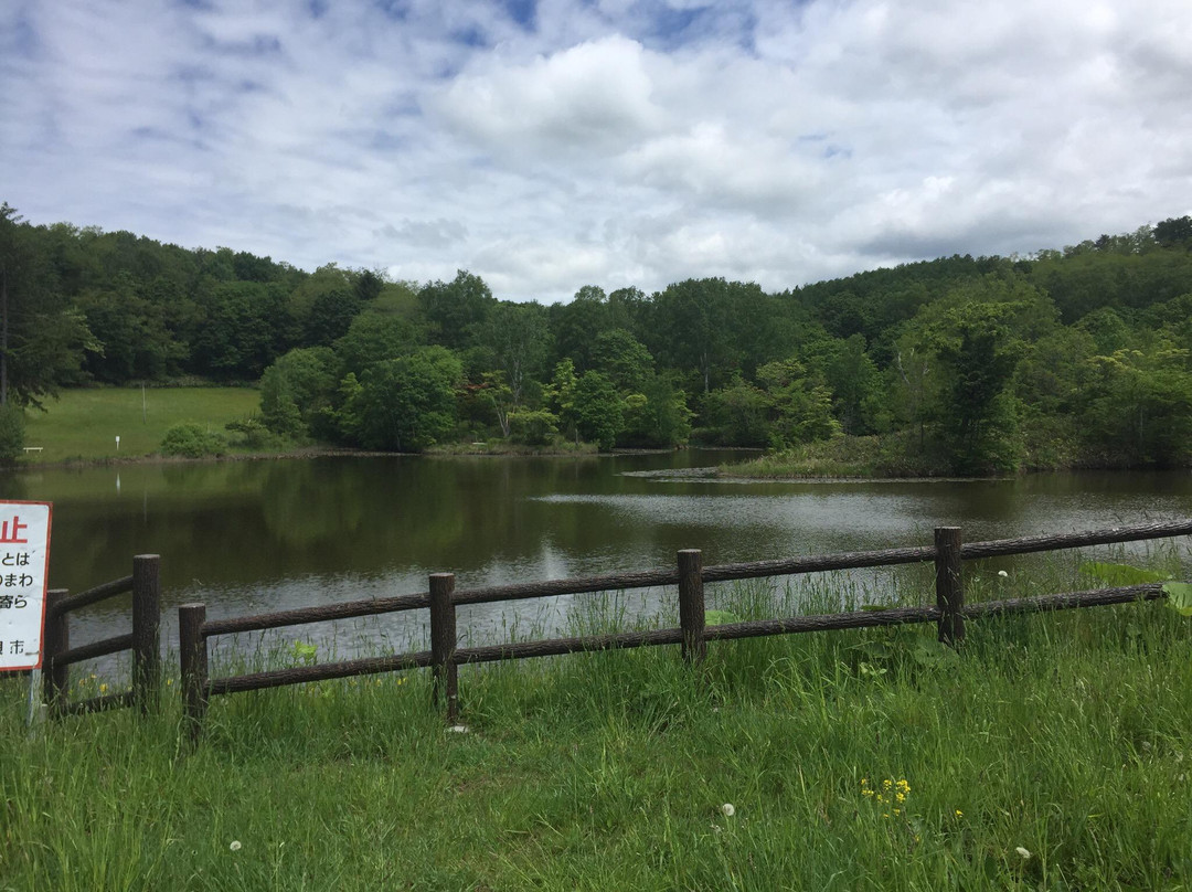 Tomei Park-美呗市必去景点