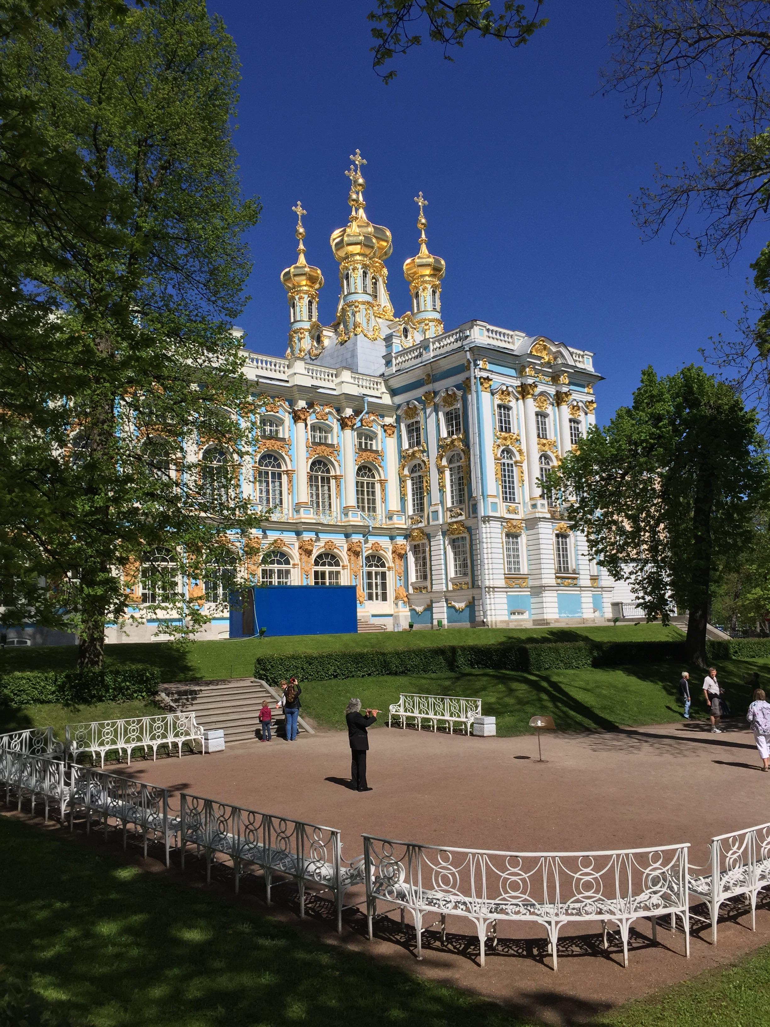 Pushkin Park-客卧