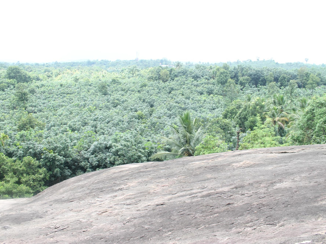 Thommankuthu Waterfalls景点图片