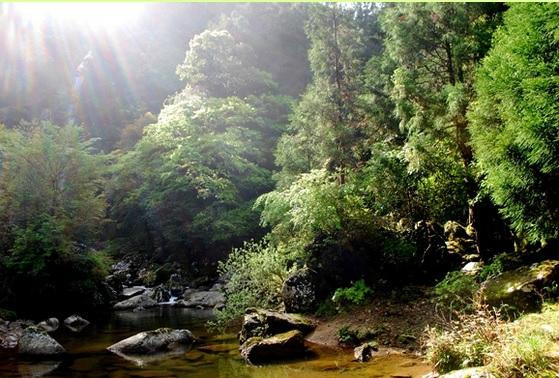 Nonotaki Waterfalls-新宫市必去景点