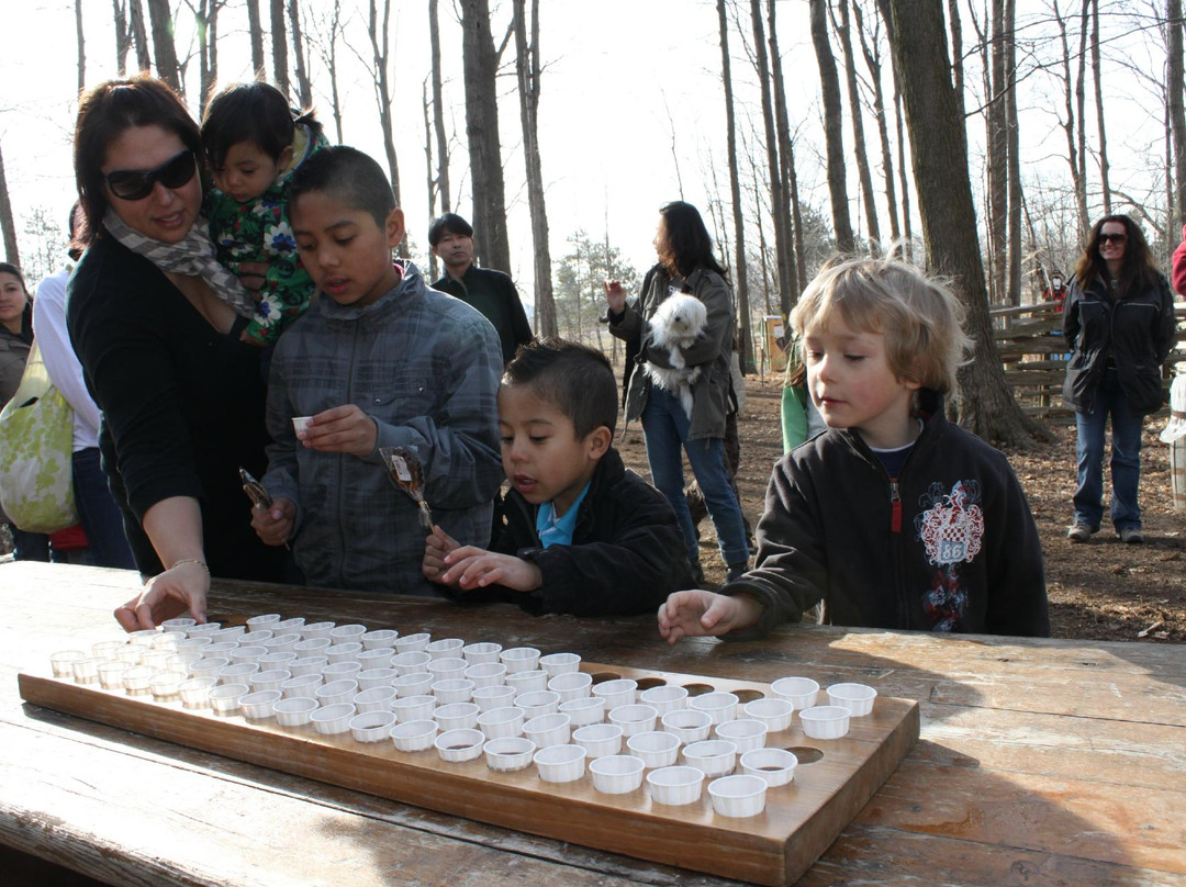Bruce's Mill Conservation Park景点图片
