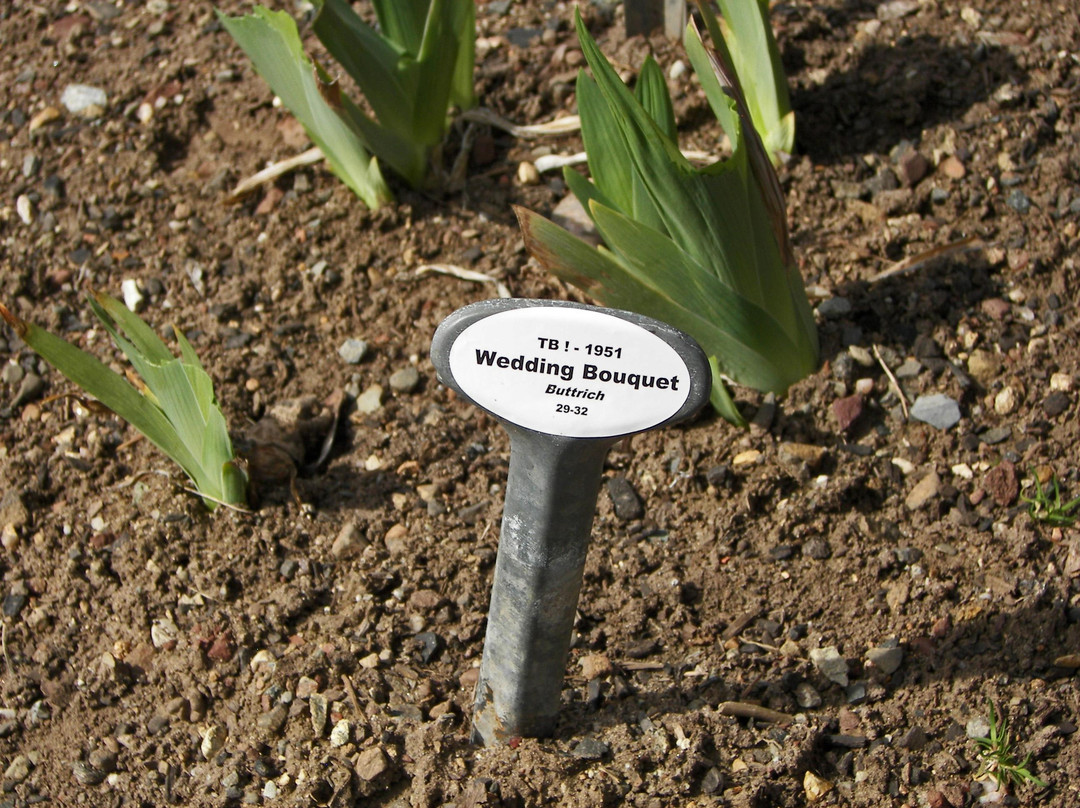 Presby Iris Gardens-Upper Montclair必去景点