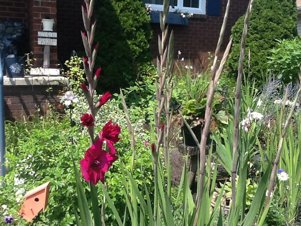 Cindy's Bed & Breakfast主图