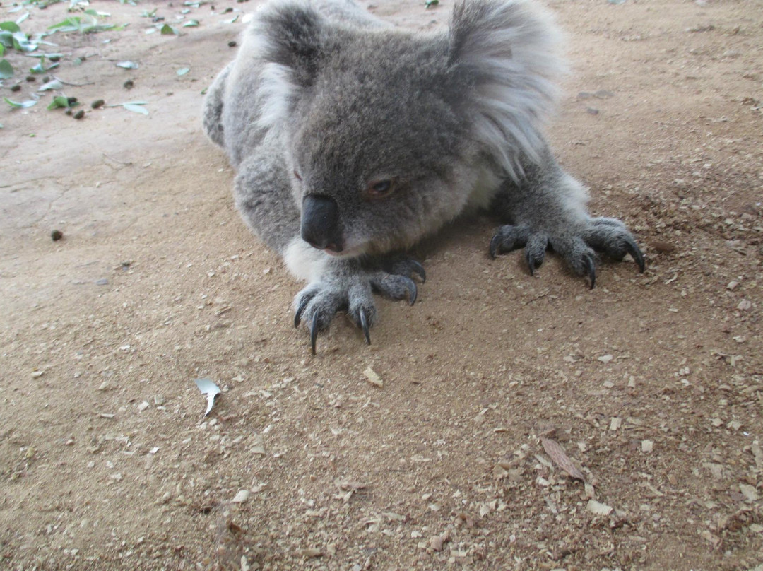 Waterways Wildlife Park-冈尼达必去景点