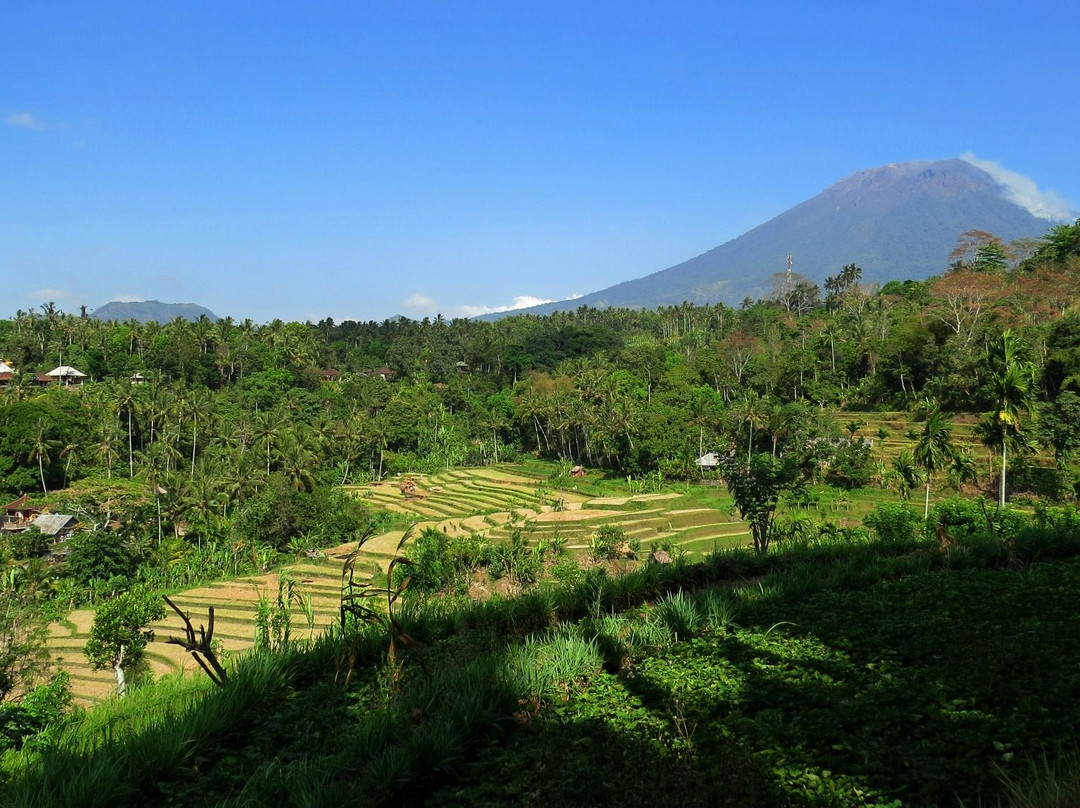 Pondok Lembah Dukuh Homestay主图