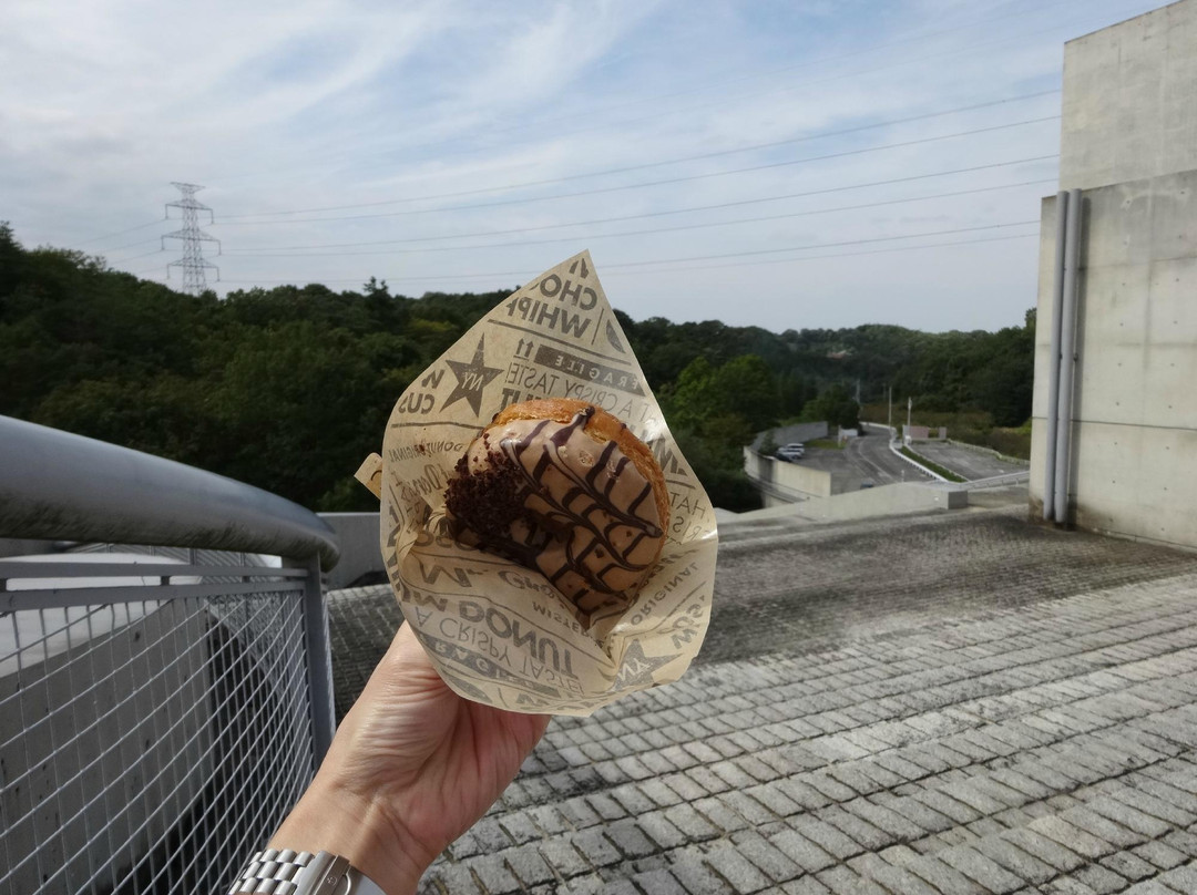 ミスタードーナツ 富田林駅前ショップ