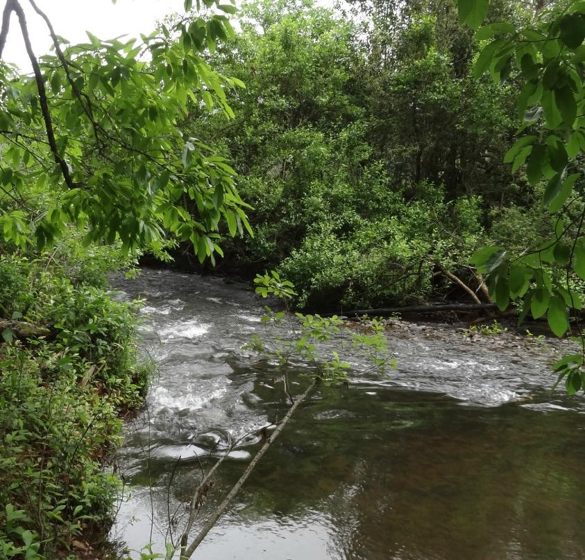 Castle Rock Trails-沙比必去景点