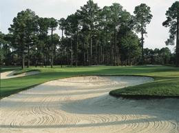 Santee Cooper Country Club景点图片