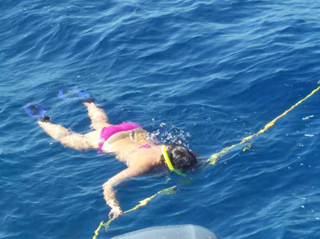 Ocean Parasail-Cockburn Town必去景点