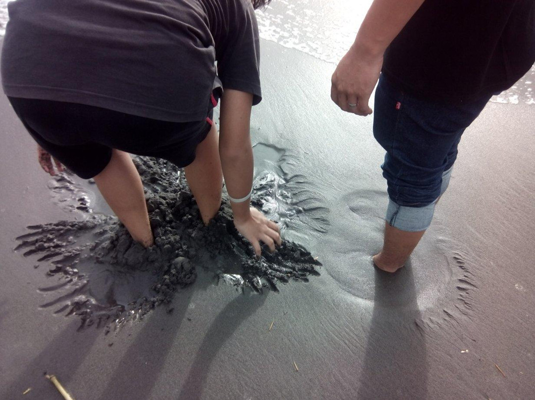 Glagah Indah Beach景点图片