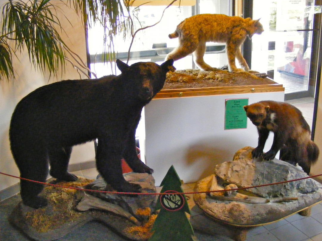 Yoho National Park Visitor Centre景点图片