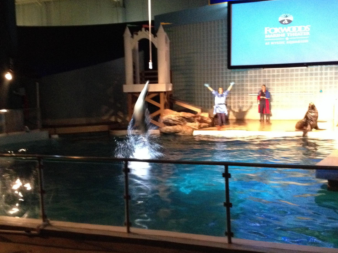 Mystic Aquarium-神秘河必去景点