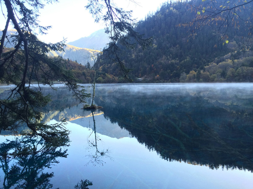 老虎海景点图片