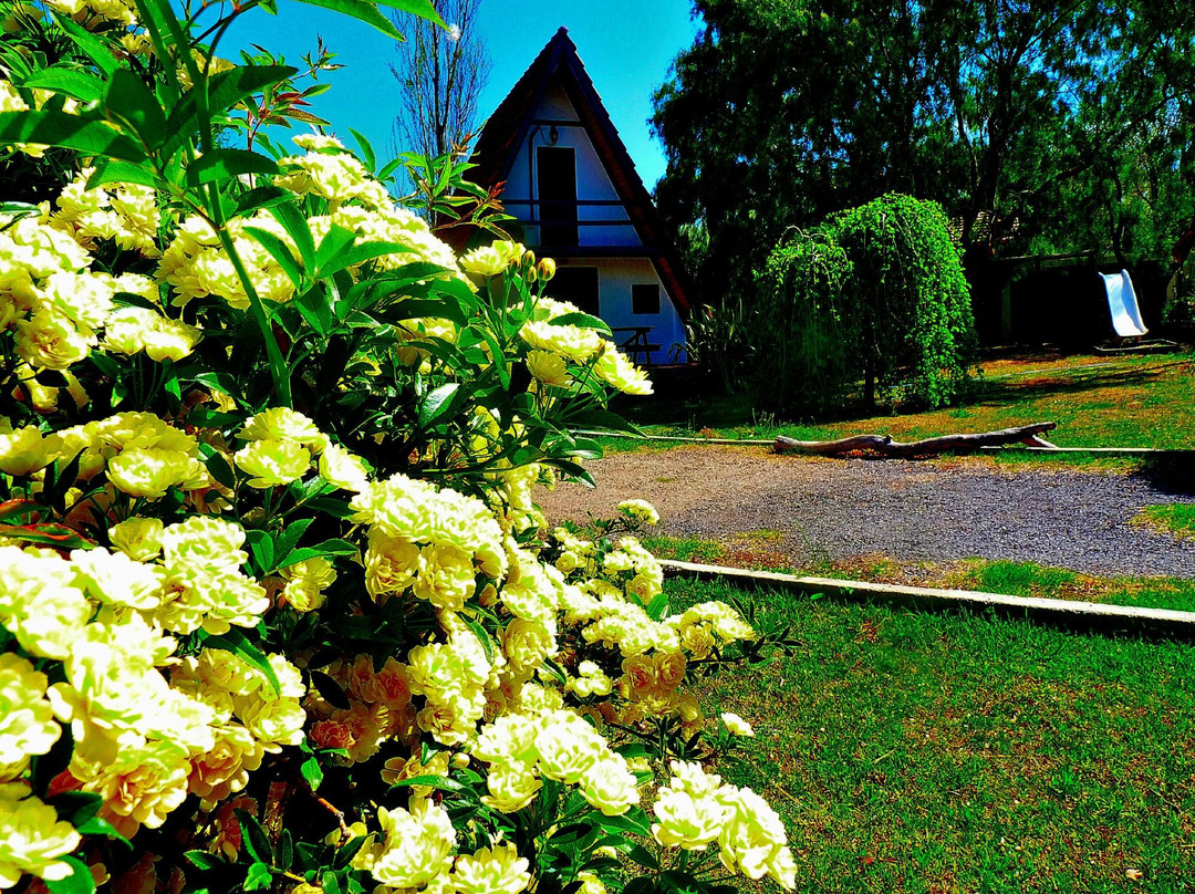 Verde Y Blanco Cabanas