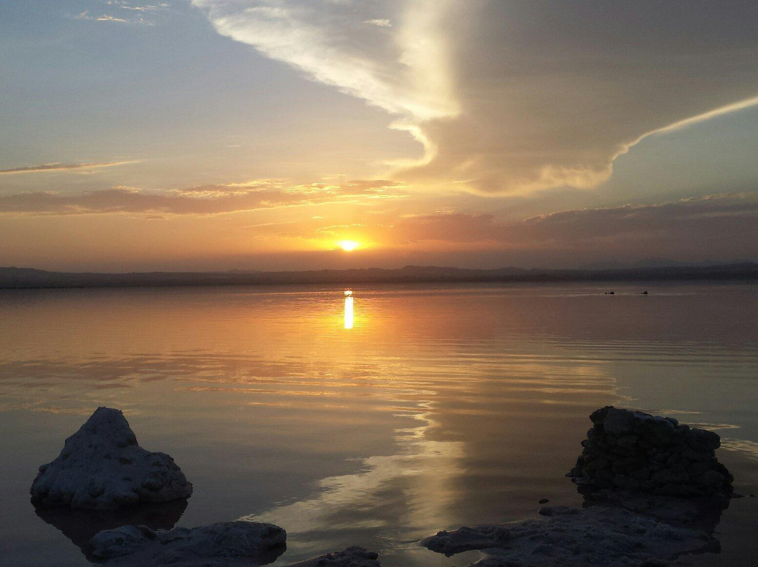 Las Salinas de Torrevieja景点图片