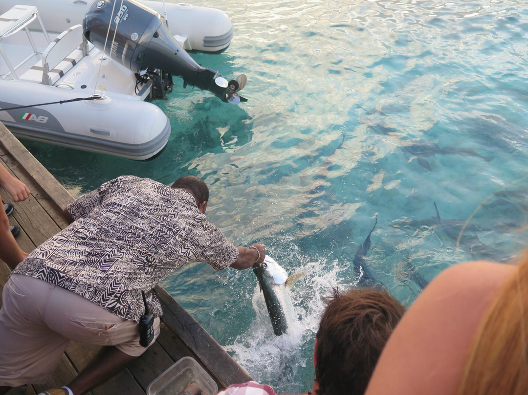 Saba Rock Resort-维京果岛必去景点