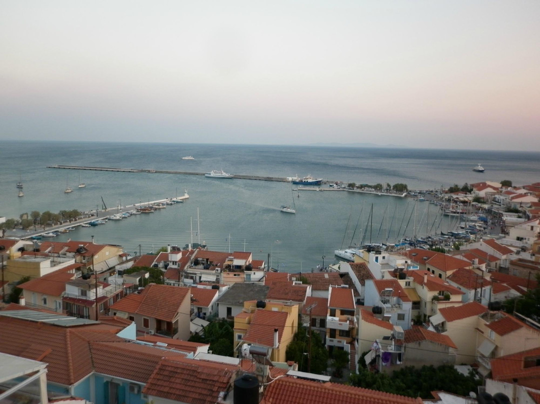 Xenon Afrodite主图