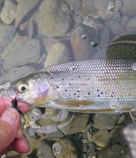 Crescent Lake Hiking Trail-Cooper Landing必去景点