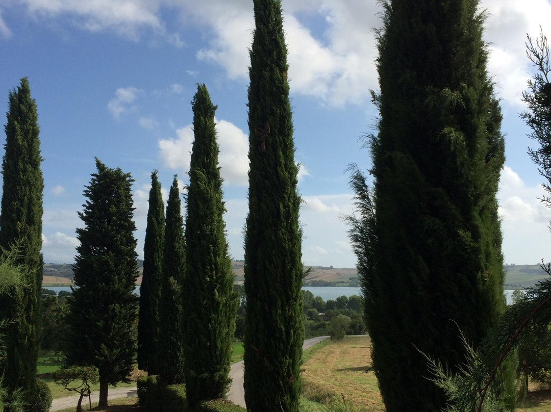 Hotel La Fattoria主图