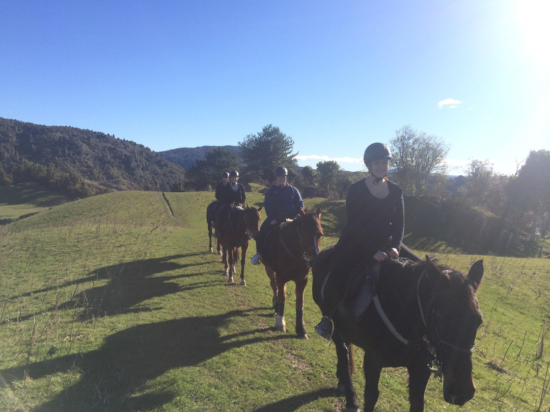 Horse Trekking Lake Okareka-罗托鲁瓦必去景点
