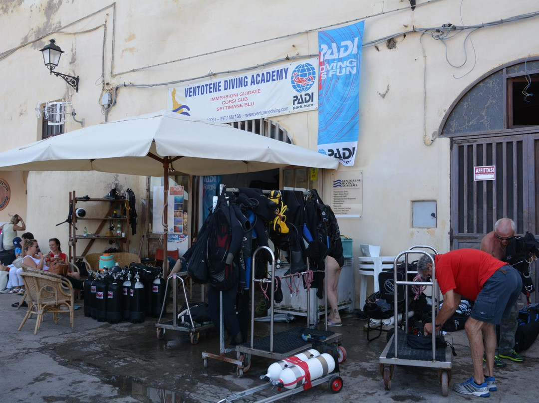 Ventotene Diving Academy景点图片
