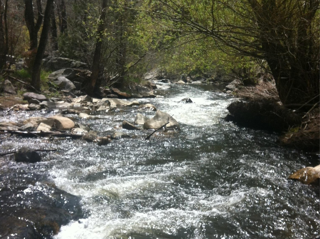 Lair O' the Bear Park-Morrison必去景点