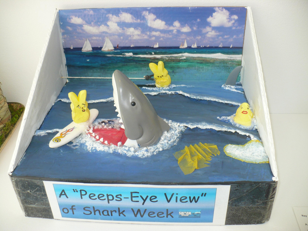 Racine Art Museum-拉辛必去景点