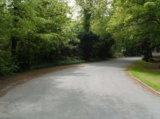 SANDEMANs NEW Europe - Dublin-都柏林必去景点