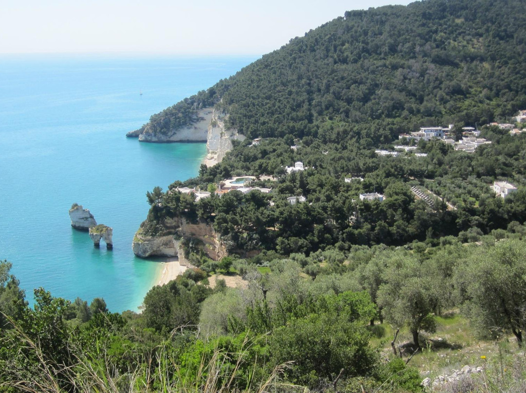 Baia dei Mergoli-Mattinata必去景点