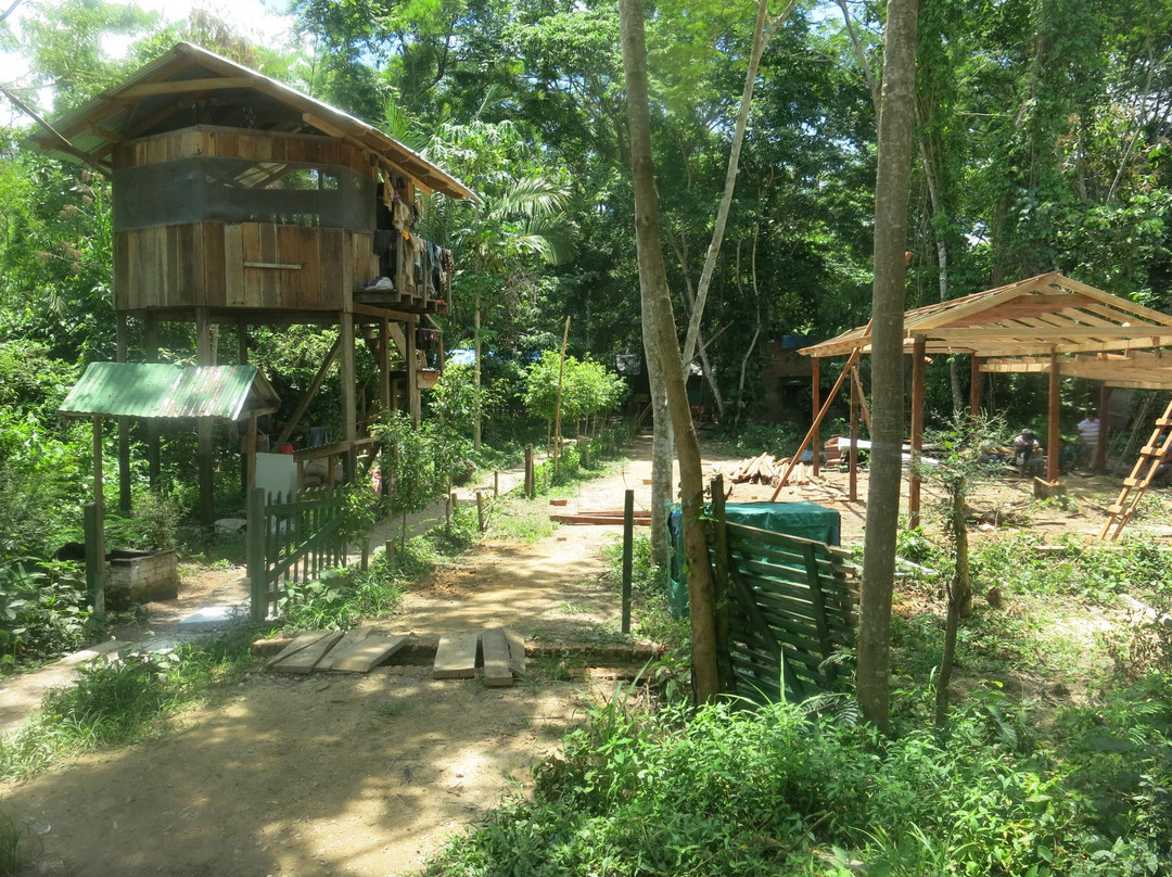 Comunidad Inti Wara Yassi (CIWY)-科恰班巴必去景点