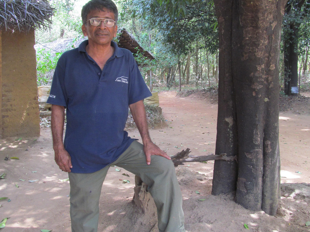 Popham's Arboretum-丹布拉必去景点