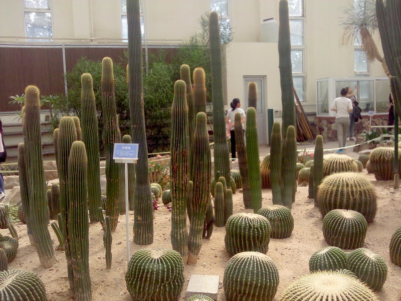 石家庄植物园-鹿泉市必去景点