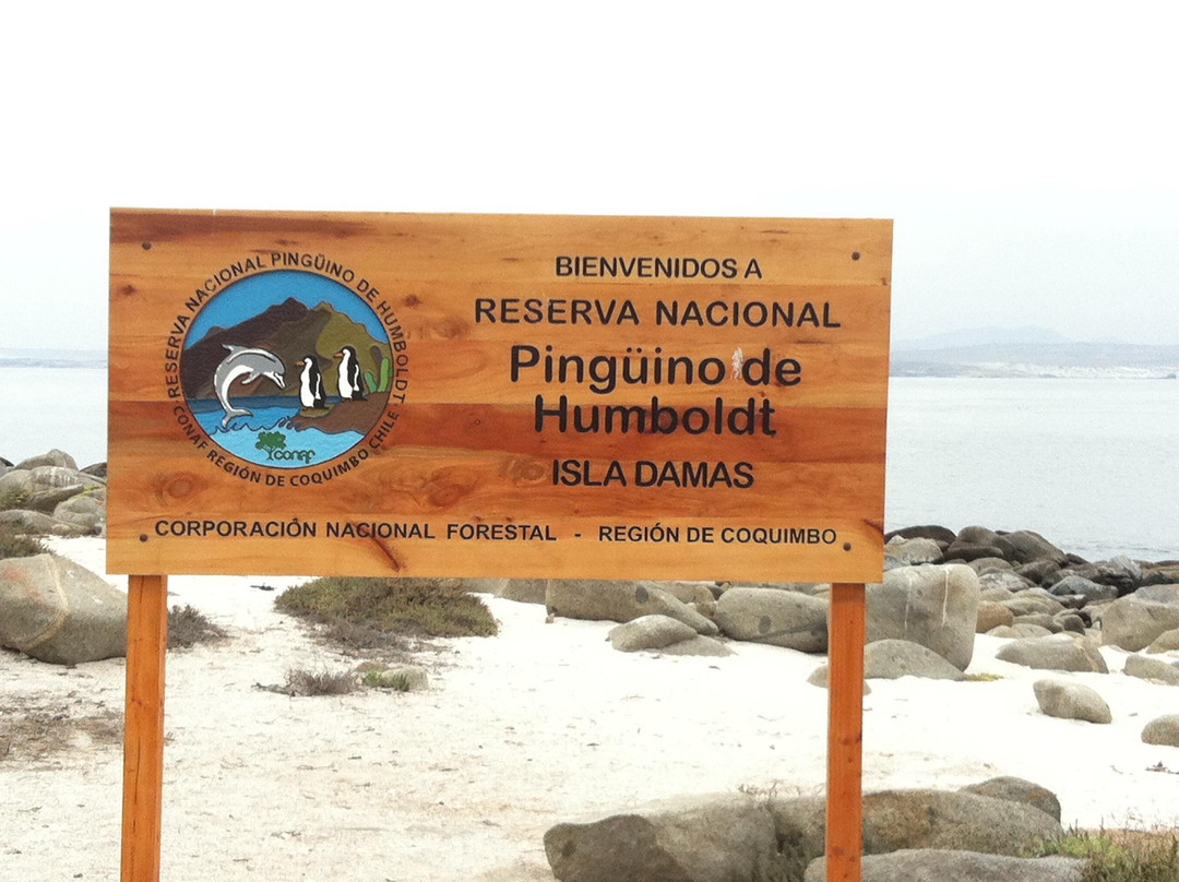 Ecoturismo La Serena-拉塞雷纳必去景点