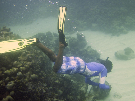 Coco Motion-低地必去景点