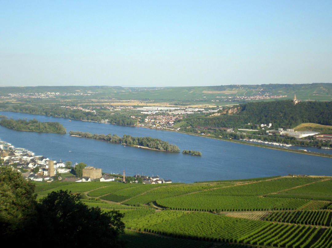 EvenTours Rheingau Tours景点图片