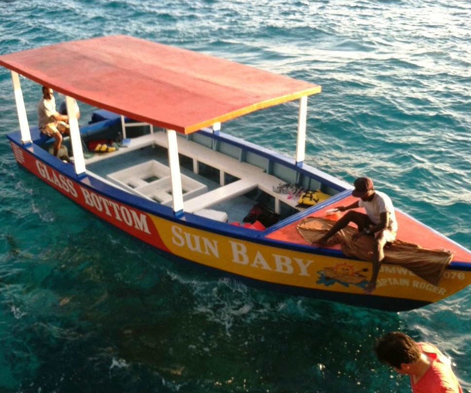 Jamaica Island Taxi Tours景点图片
