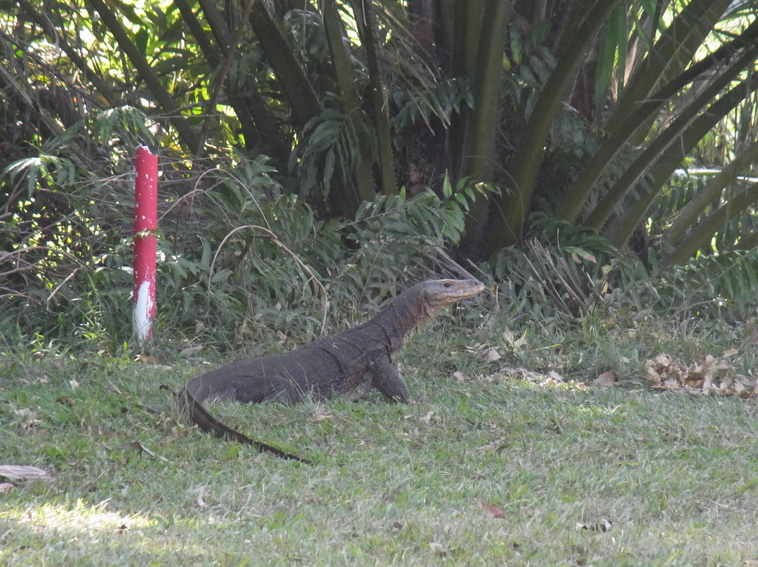 槟城高尔夫渡假村-Kepala Batas必去景点