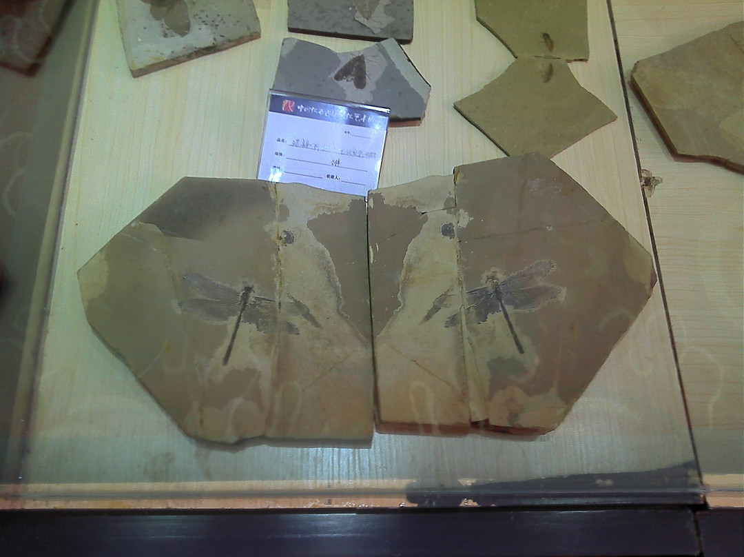 朝阳鸟化石国家地质公园-朝阳市必去景点